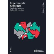 Experientele depresiei. Perspective teoretice, clinice si de cercetare - Sidney J. Blatt