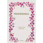 Profesorul (vol. 25) - Charlotte Bronte