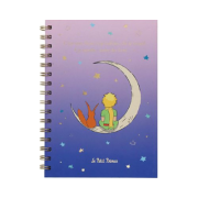 Agenda A5 Le Petit Prince Renard, Kiub