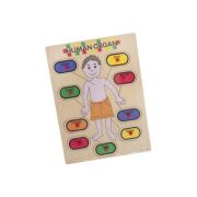 Puzzle lemn educativ - Invata corpul uman, 9 piese, 3+ ani, Colorarte, 2KB
