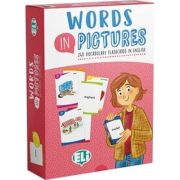 WORDS IN PICTURES + Downlodable Multimedia