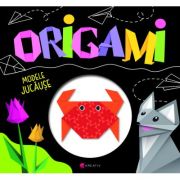 Aceasta este imaginea corespunzatoare acestui obiect