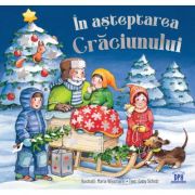 In asteptarea Craciunului. Boardbook