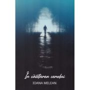 In cautarea Cerului
